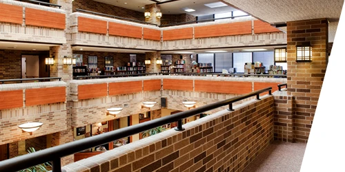 Morningside: Meadows Renovation